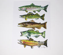Load image into Gallery viewer, Fish Art Print- 11x14, Simple Outdoor Artwork, Animal Art, Fish Painting Print