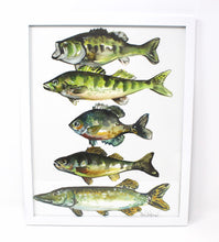 Load image into Gallery viewer, Lake Pan Fish Art Print, 11x14, Outdoor Decor, Wall Art