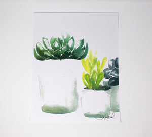 Succulent Art Print (4) on 11x14 Paper, Wall Art, Home Decor, Botanical Art