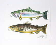 Load image into Gallery viewer, Trout Fish Art Print- 11x14, Animal Art, Outdoor Art, Home Decor
