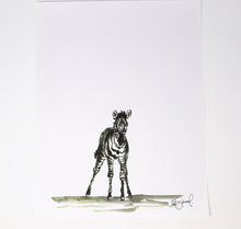 Load image into Gallery viewer, Baby Zebra Art Print- 11x14, Animal Art, Safari Animals, Home Decor, Nursery Wall Art