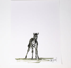 Baby Zebra Art Print- 11x14, Animal Art, Safari Animals, Home Decor, Nursery Wall Art