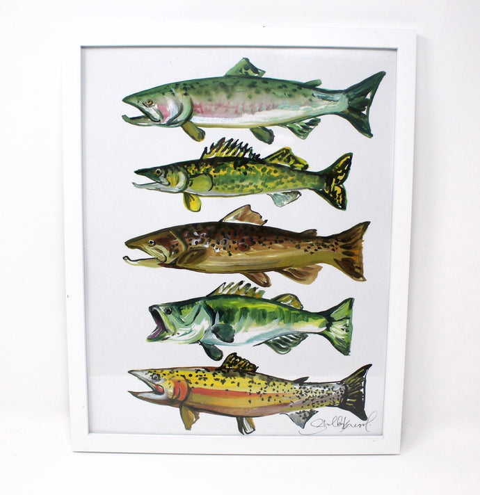11x14 Fish Art Print of Salmon, Brown Trout, Walleye, Large Mouth Bass and Cut Throat Trout