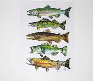 Fish Art Print- 11x14, Simple Outdoor Artwork, Animal Art, Fish Painting Print